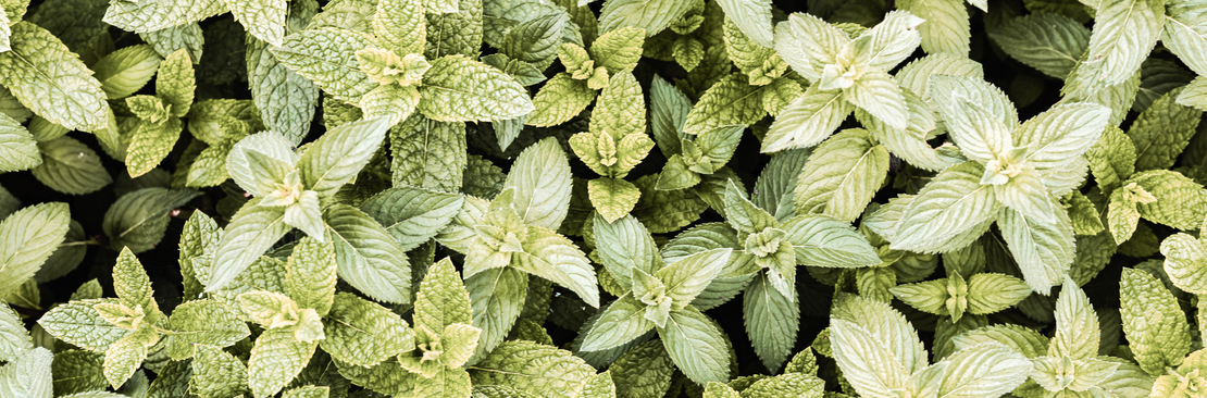 Yonge and Sheppard Health Centre