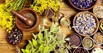 Yonge and Sheppard Health Centre